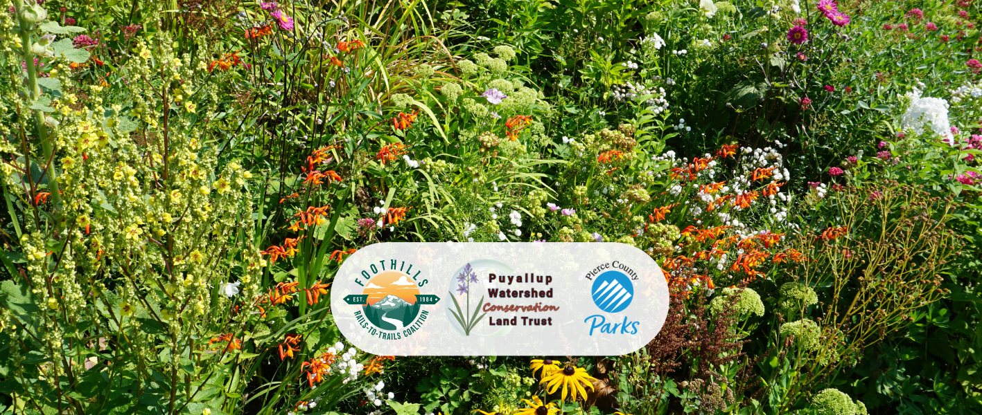 Pollinator Garden Work Party | October 24 | McMillin Trailhead