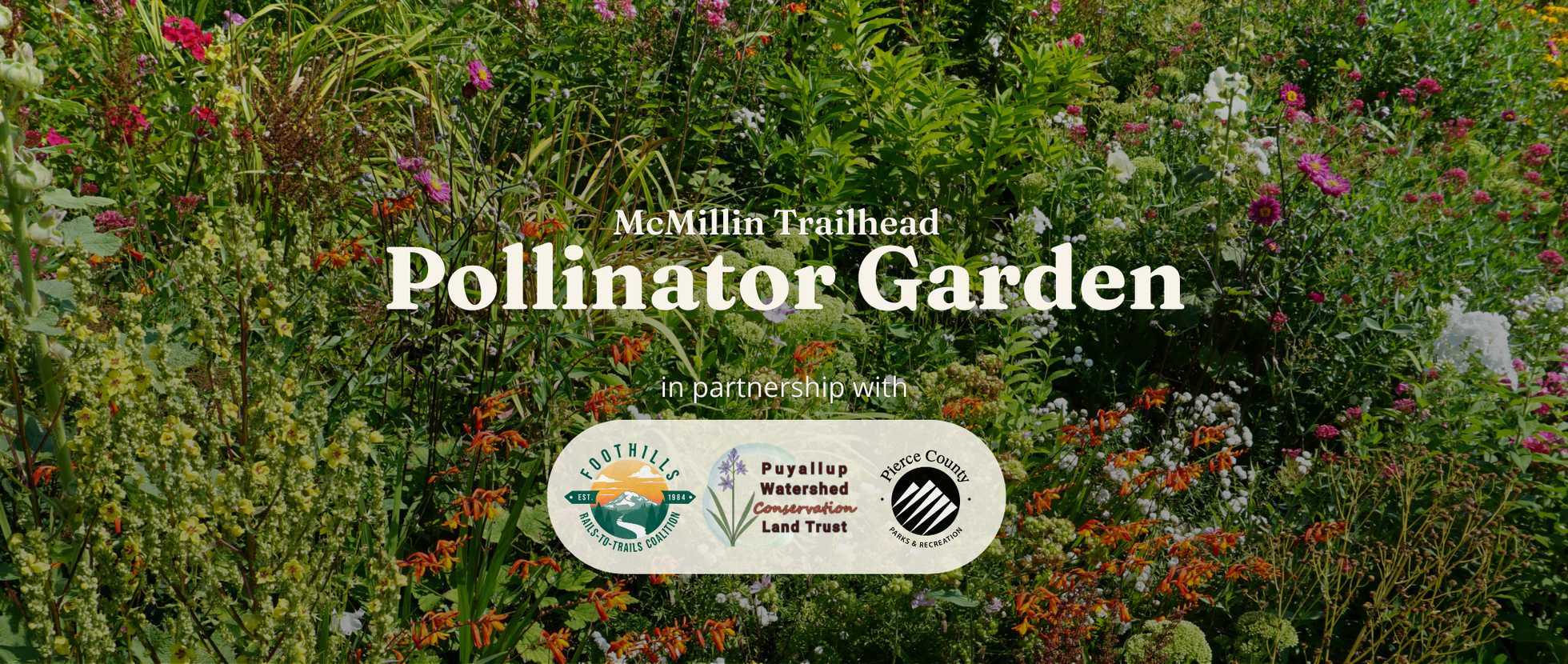 Pollinator Garden Work Party | November 14 | McMillin Trailhead